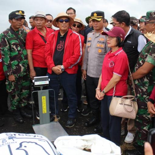 Kasdim 1619/Tabanan dan Pemkab Tabanan Gelar Panen Raya Padi di Desa Tangguntiti