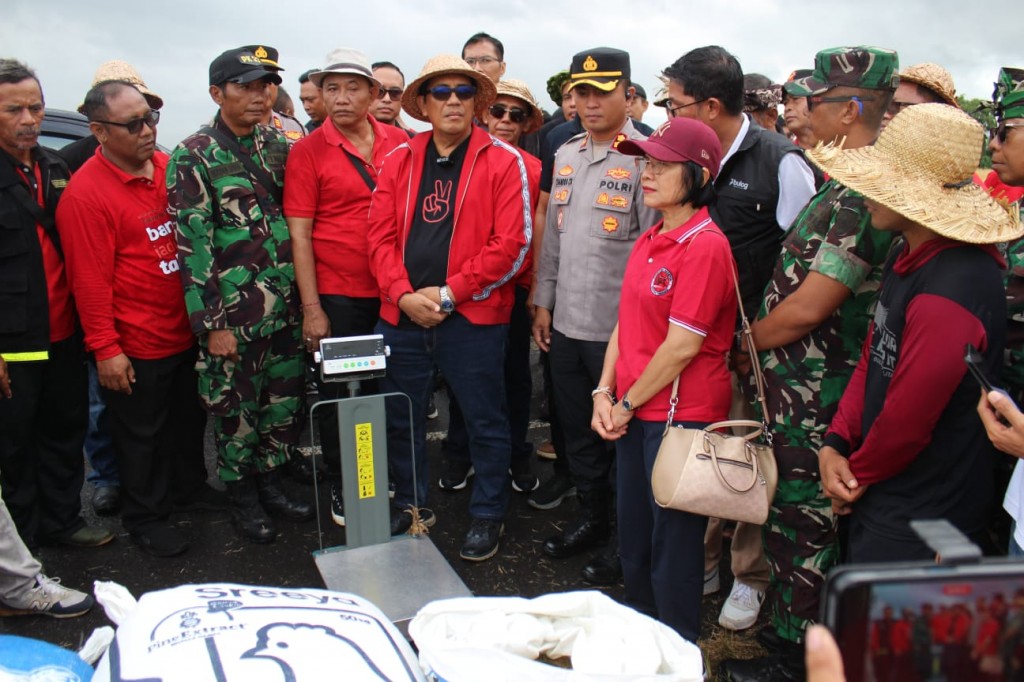 Kasdim 1619/Tabanan dan Pemkab Tabanan Gelar Panen Raya Padi di Desa Tangguntiti